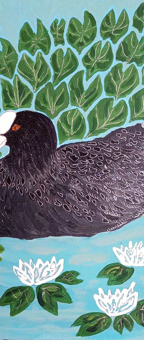 "Coot" by Monica Green
