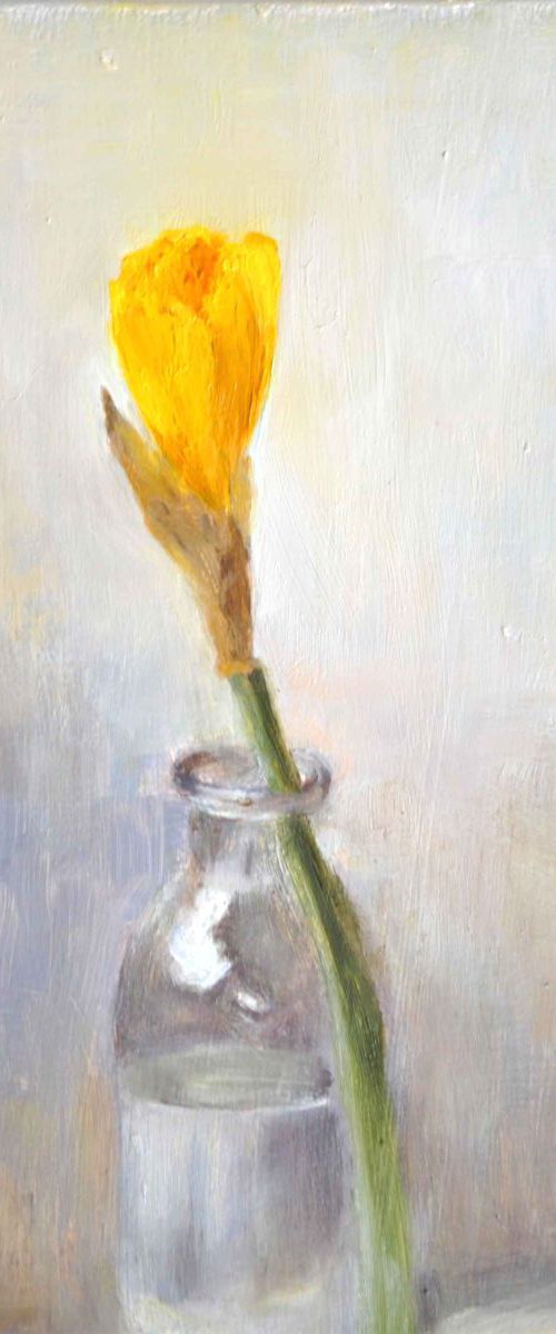 Solitary daffodil by Daniela Roughsedge