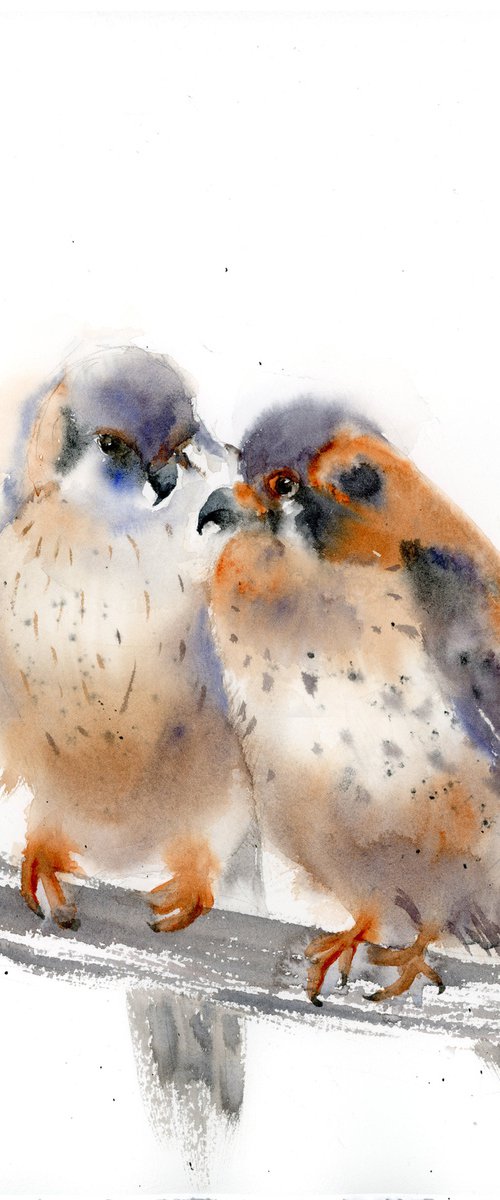 Whispering Kestrels by Olga Tchefranov (Shefranov)