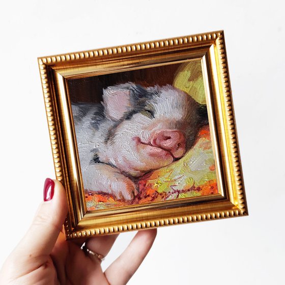 Pig sleeping portrait