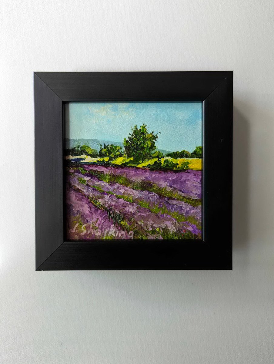 Lavender Fields Scene by Natalia Shaykina