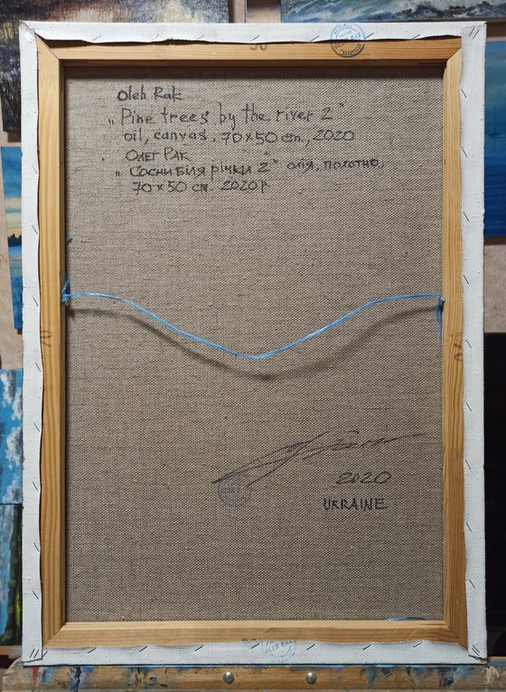 Pine trees by the river 2