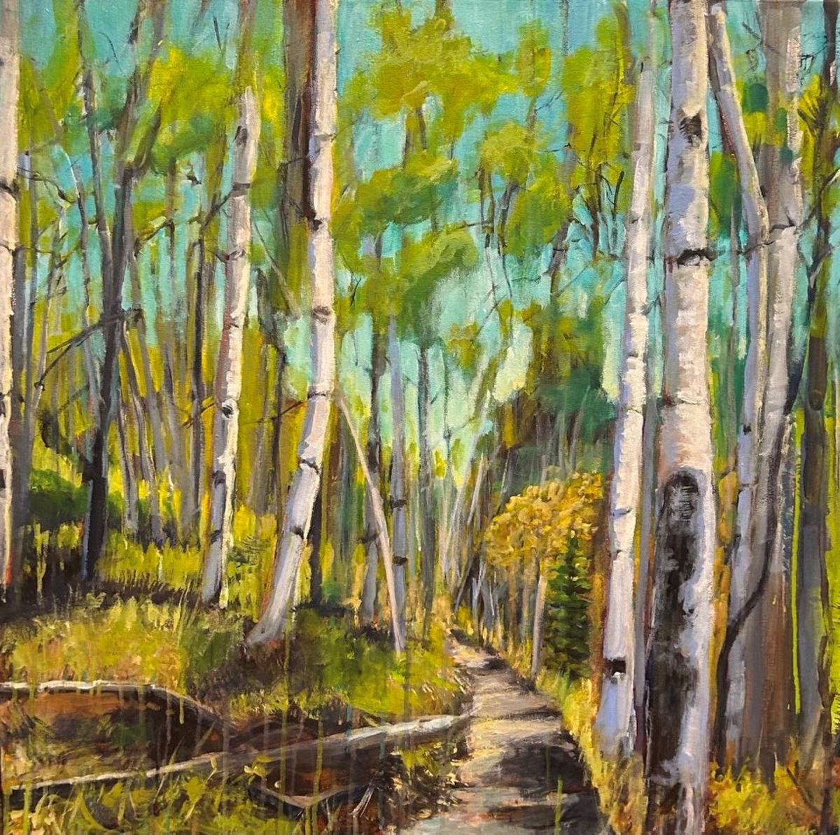 Birch Walk by Leah Kohlenberg Fine Art