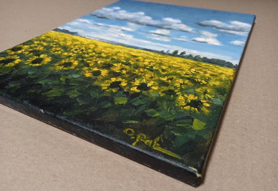 Sunflower field