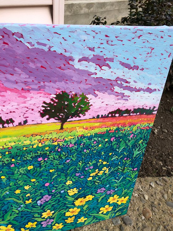 Blooming fields