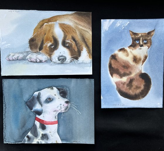 Set of three artworks with pets - St. Bernard dog, Dalmatian dog and spotted cat. Original watercolor artworks.