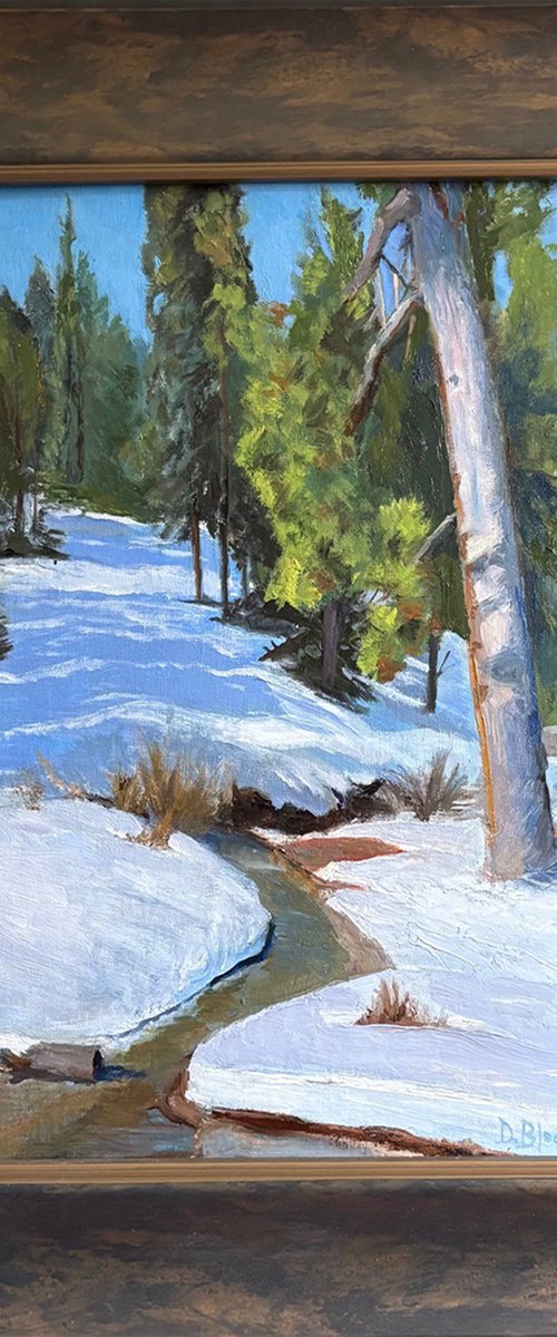 Running Springs by David Block