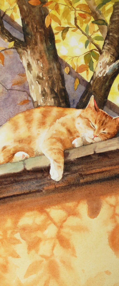 Catnap in the Golden Light by Olga Beliaeva Watercolour