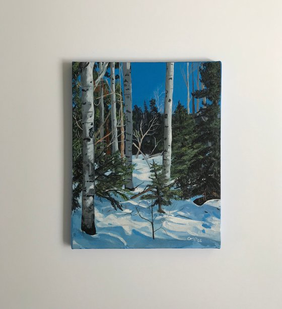Midwinter Sunshine