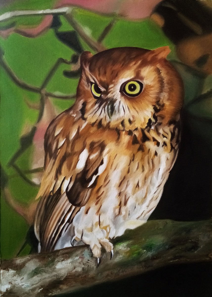 Photorealistic Oil Painting , Owl By Simona Tsvetkova, 14 X 20, Artwork For Sale On Artfinder