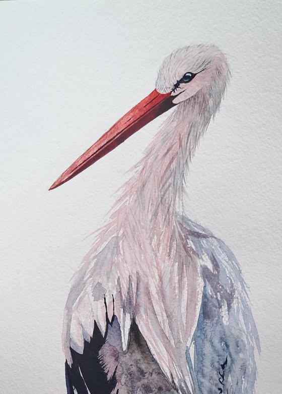 Stork