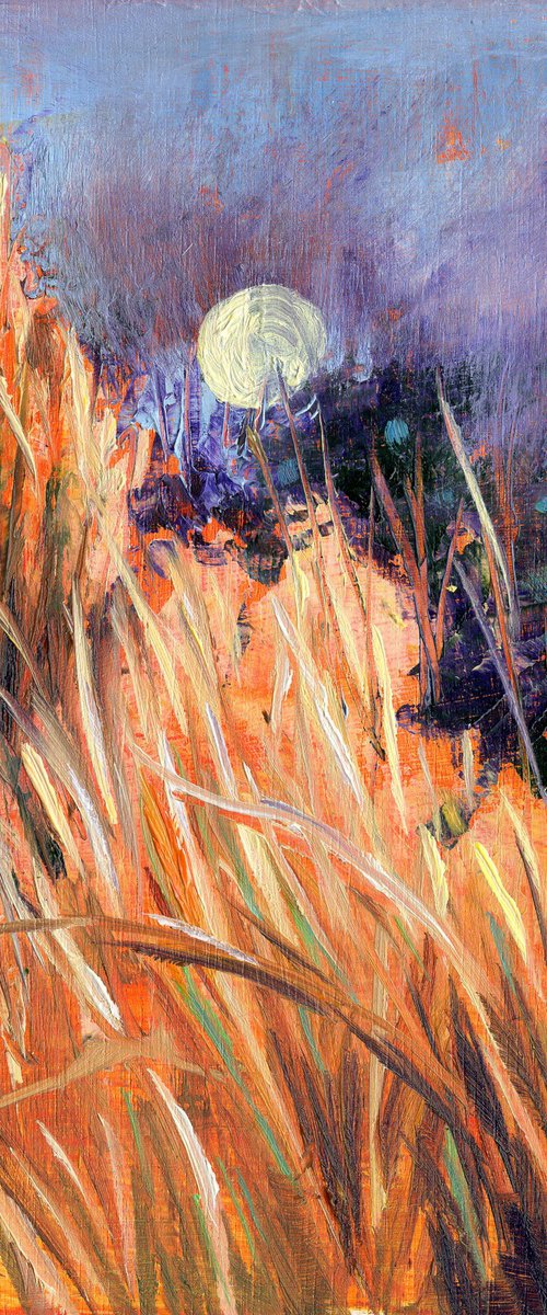 Moon in Daytime by Mary Kemp