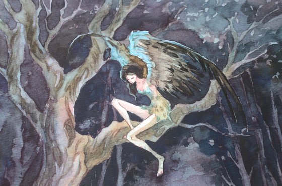 Bird maiden / Fantasy Watchers