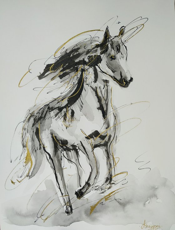 Horse  ink drawing series-Horse drawing on paper