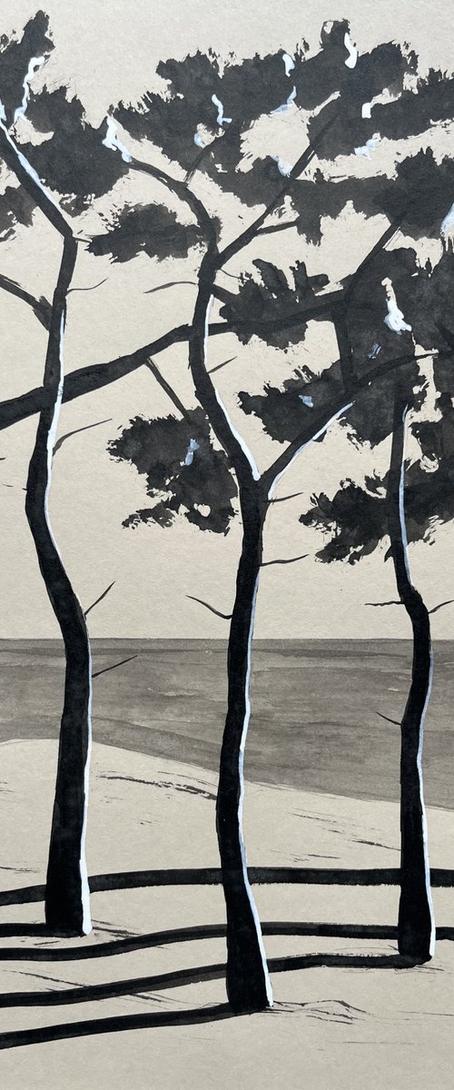 Pinetrees by Cadiou Frederic