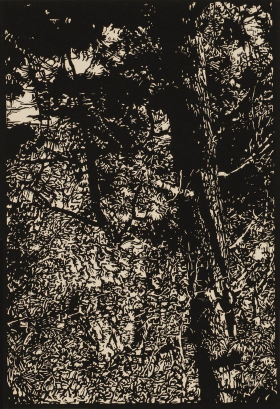 EAST OF SANTA FE/PECOS WILDERNESS