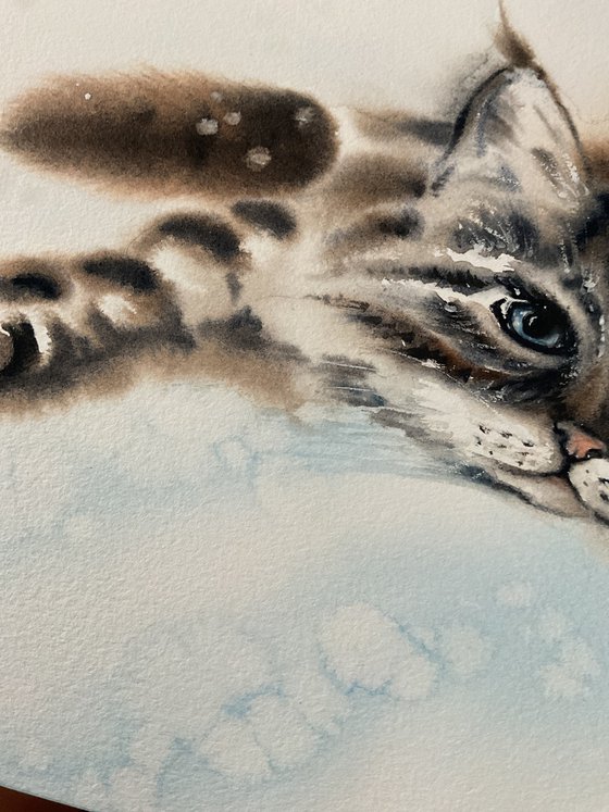 Resting cat, Let’s take a rest