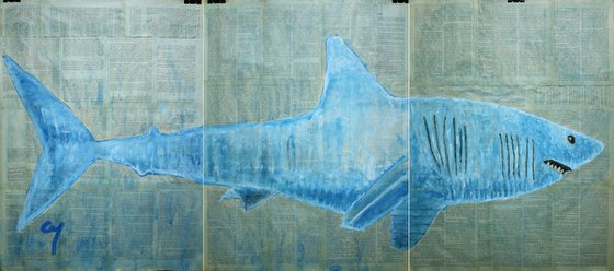 Shark. (triptych)