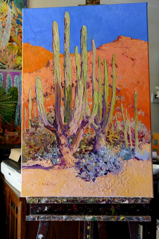 Cactuses in the Desert
