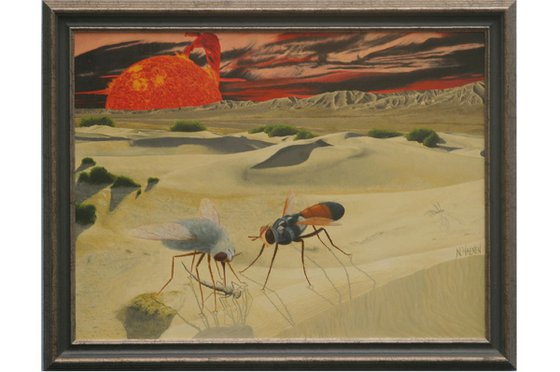 Insects in the dessert