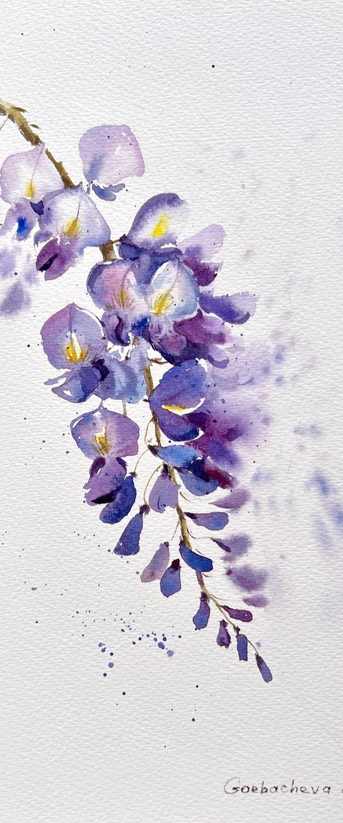 Wisteria by Eugenia Gorbacheva
