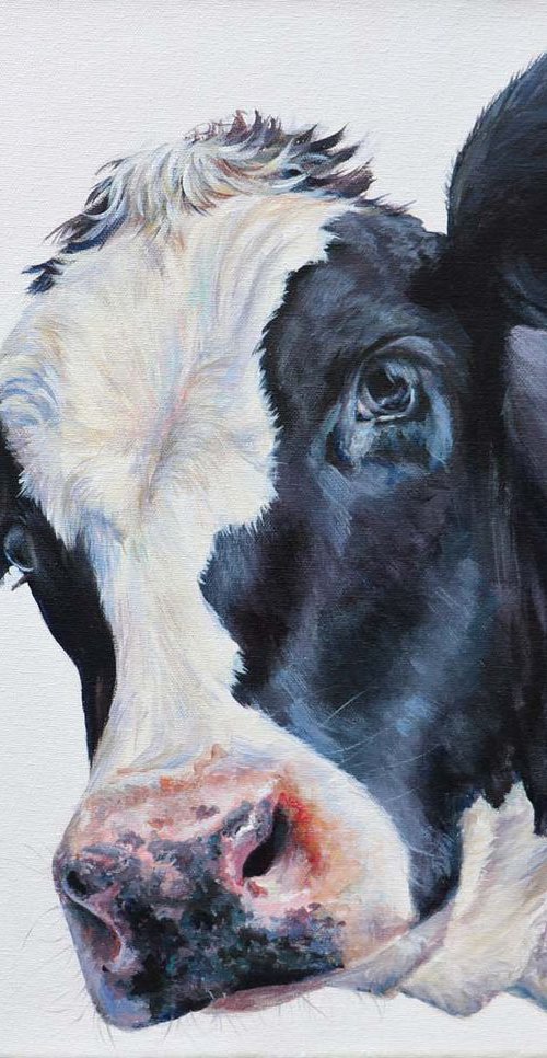 Molly by Ruth  Aslett