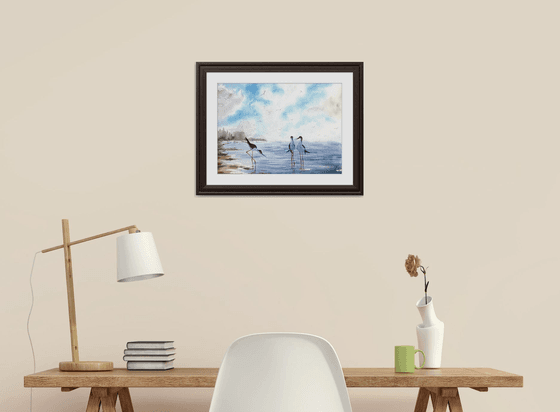 Seascape Wild birds Sunset