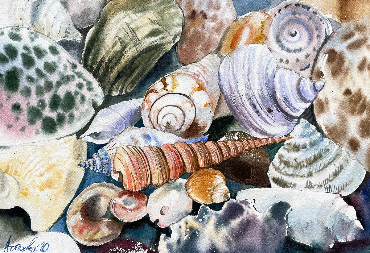 Impressionistic Still Life Watercolour By Ksenia Astakhova, 15 X 10", Seashells From Limassol, Original Artwork