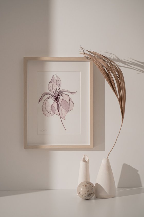 3 Irises