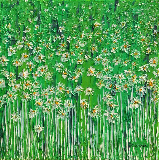 Daisies In The Grass 4