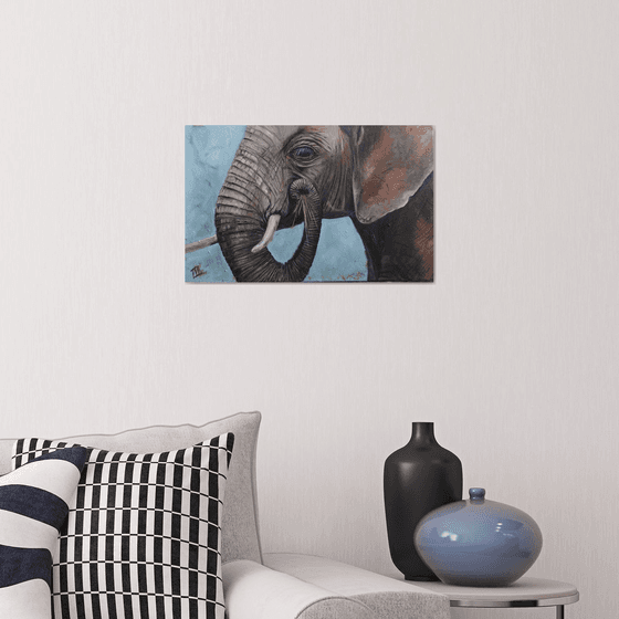 Gray Elephant