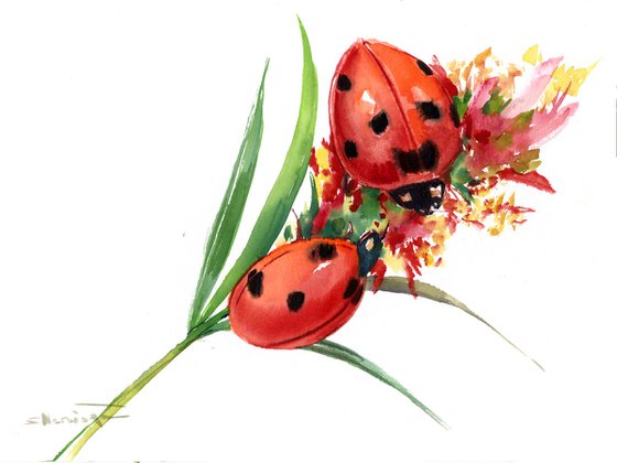 Ladybugs and Flower