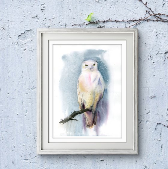 Snowy Owl Diptych