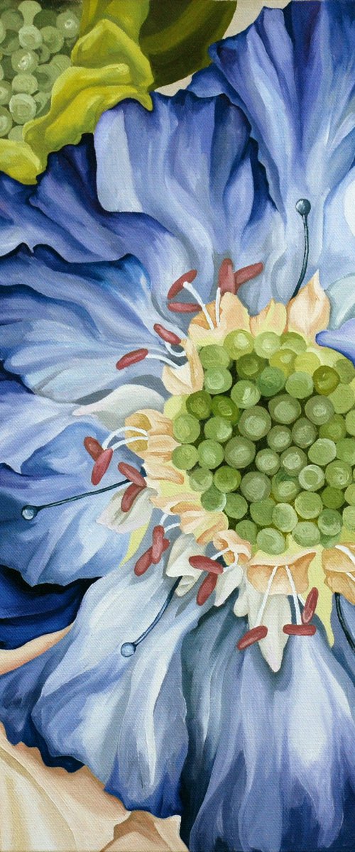 Scabious With Pink by Jo Beer
