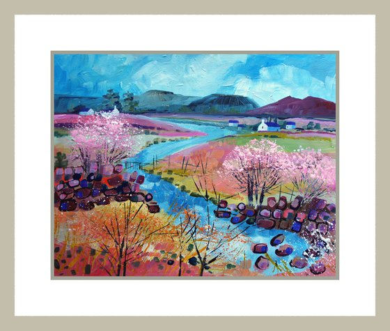 Springtime in the Dales