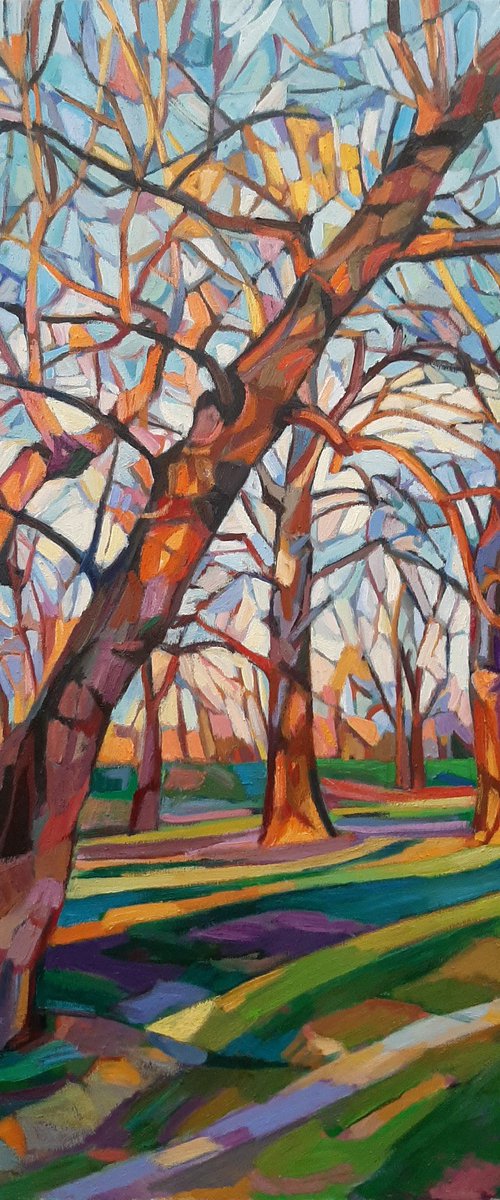 Sunlit trees by Maja Đokić Mihajlović