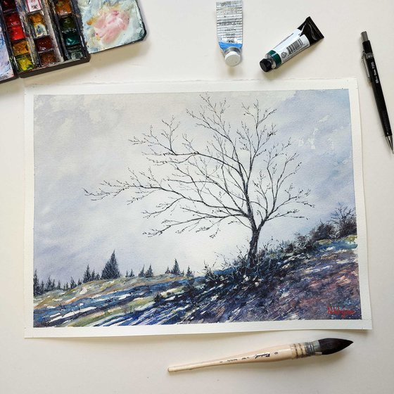 Tree - BRIGHT WINTER MORNING