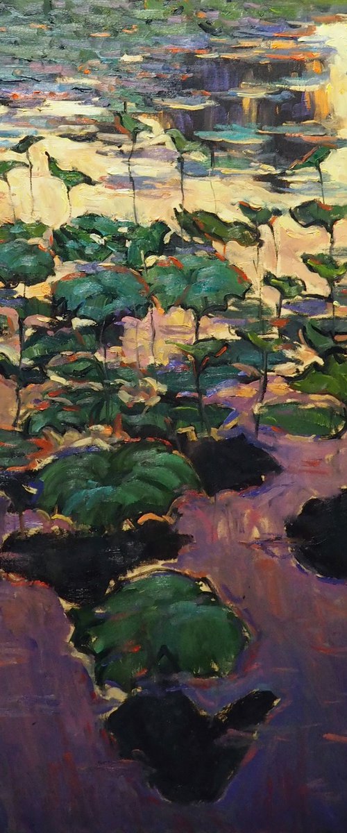 Lotus leaves by Yuanyuan Liu