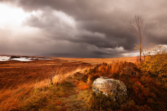 Burnished Horizons