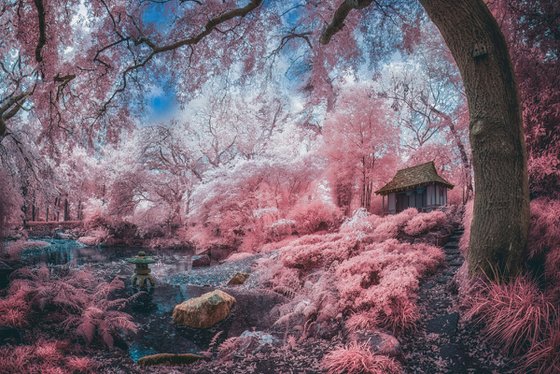 Infrared Japanese Garden