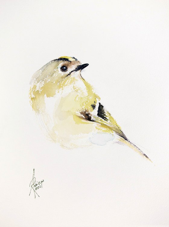 Goldcrest