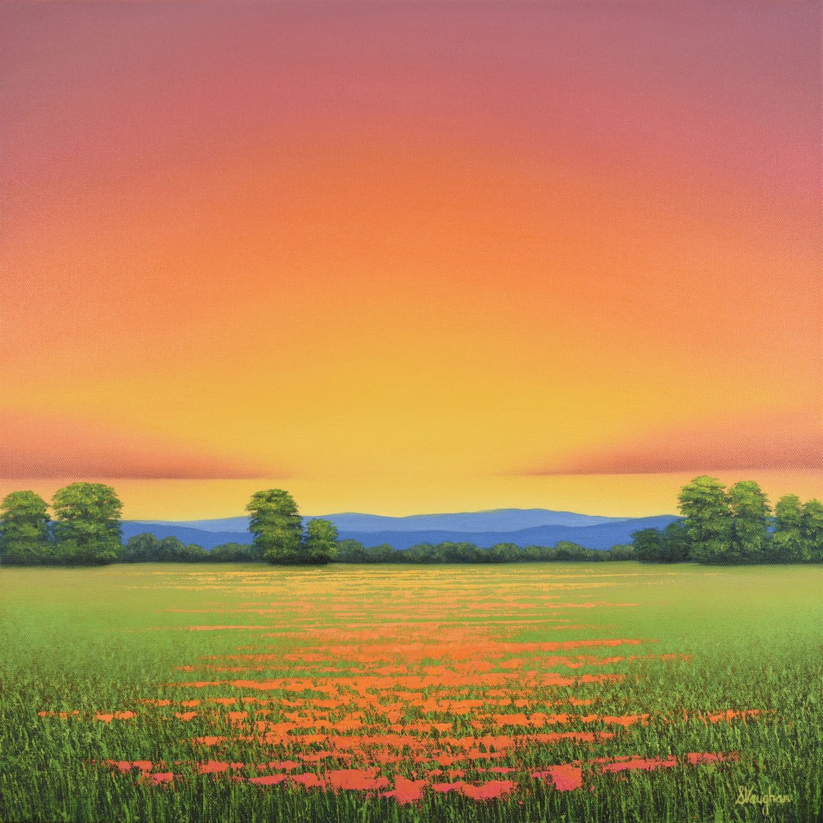 Impressionistic Landscape Oil Painting By Suzanne Vaughan, 20 X 20", Poppy Field Sunset, Original Artwork