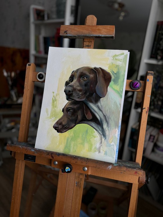 German Shorthaired Pointers