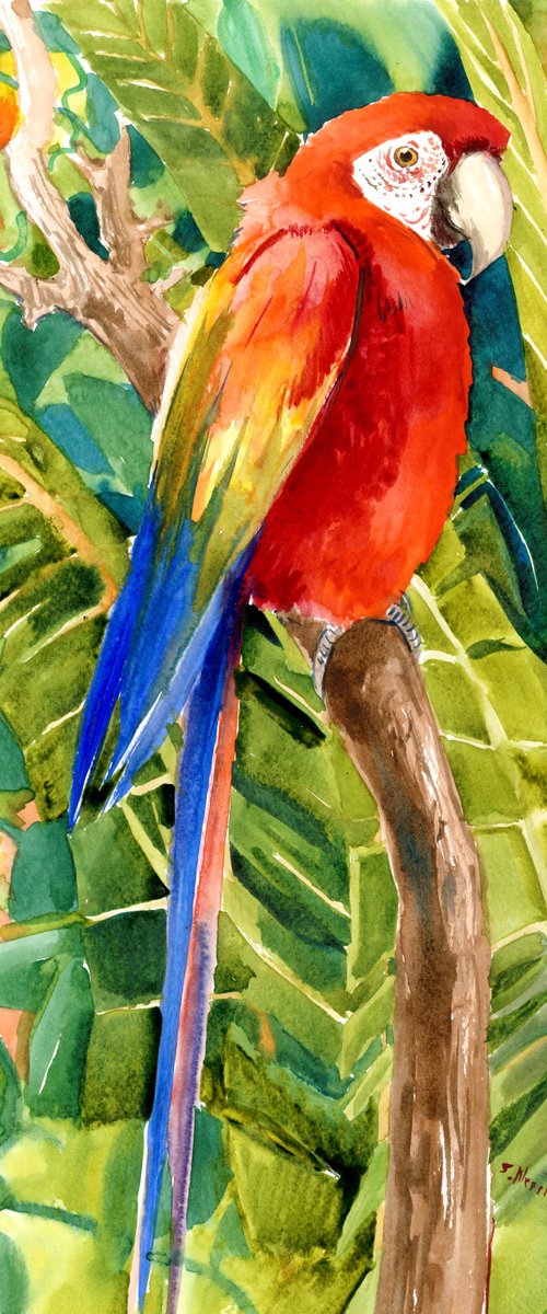 Scarlet Macaw in the Jungle by Suren Nersisyan