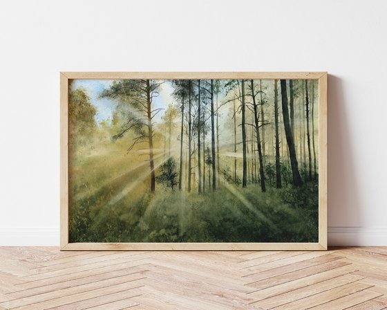 Sunlight in the forest, 57x38