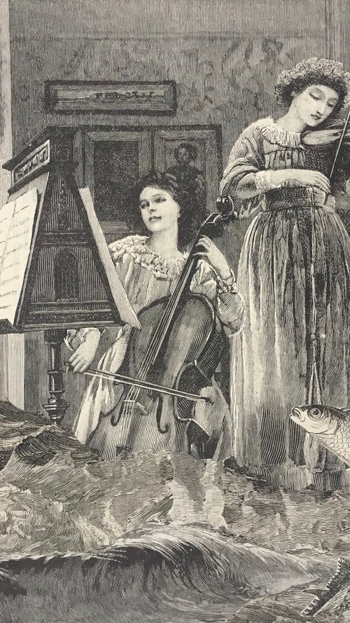 Violin cello and water by Tudor Evans