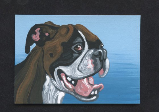 ACEO ATC Original Miniature Painting Boxer Pet Dog Art-Carla Smale