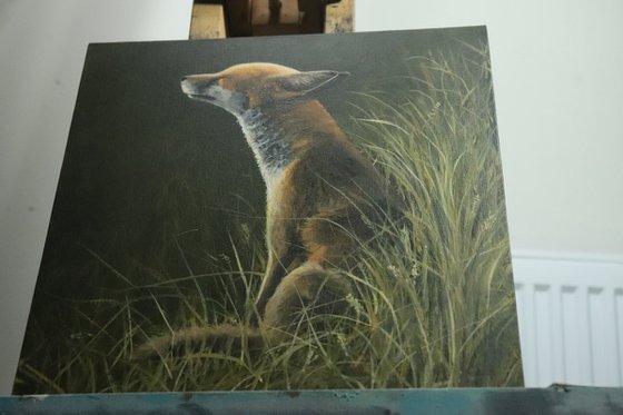 Fox in the Sun Animal original, Foxes Oil Artwork