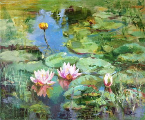 Water lilies by Svitlana Druzhko