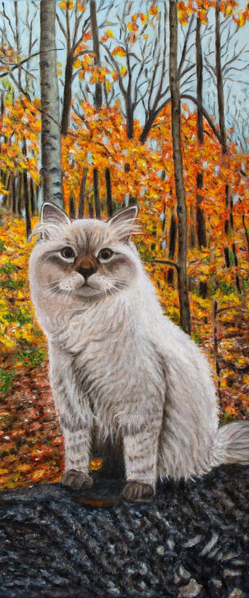 AUTUMN CAT by Vera Melnyk
